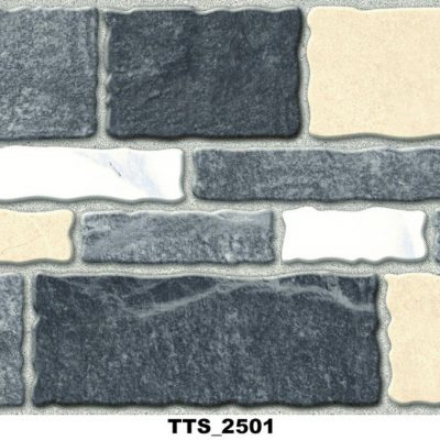 Gạch thẻ trang trí TTS 2501