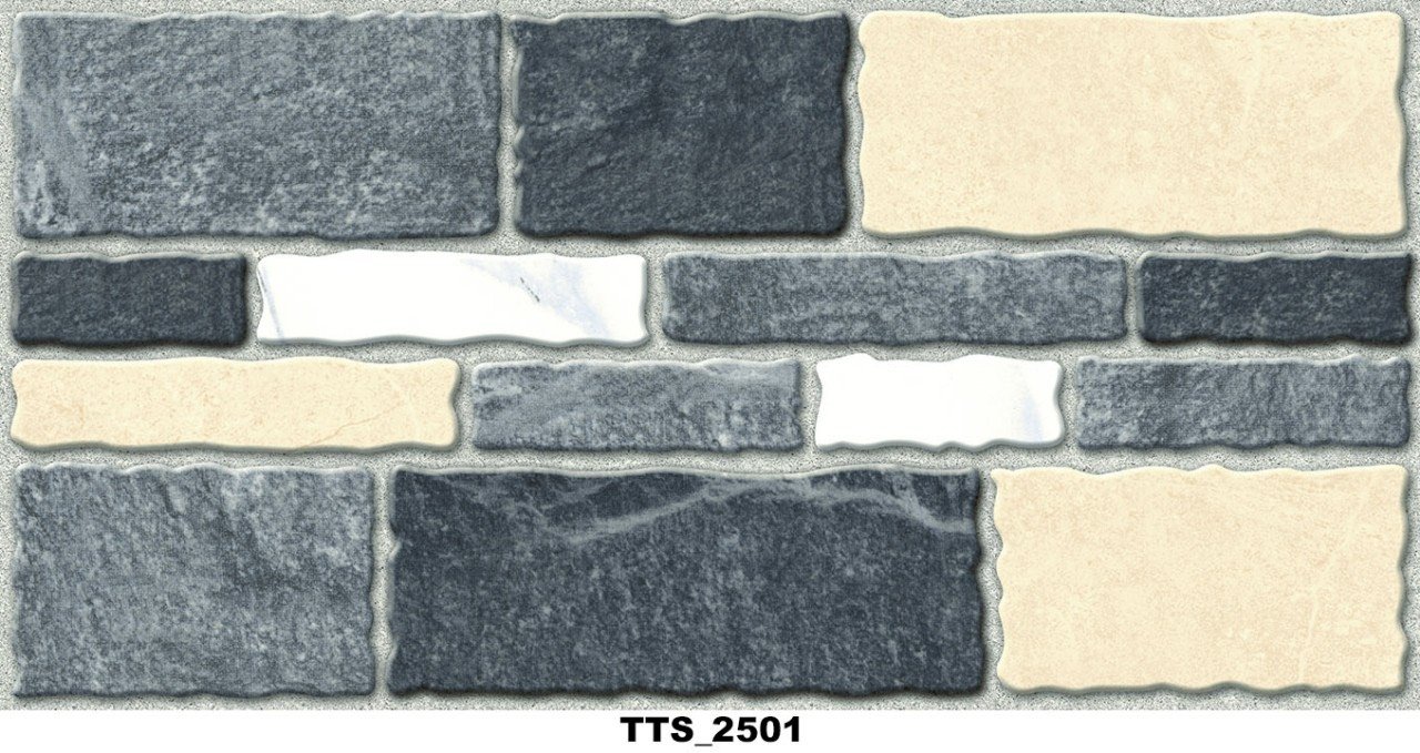 TTS2501