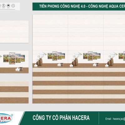 Gạch ốp tường 30x60 RT3617