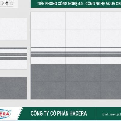 Gạch ốp tường 30x60 RTM3601
