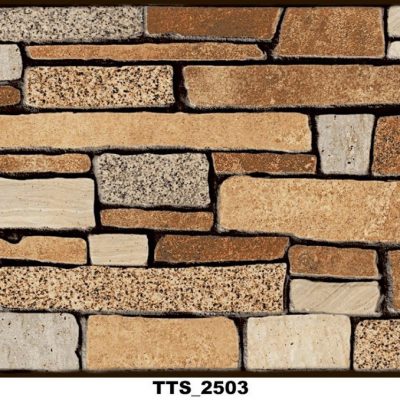 Gạch thẻ trang trí TTS 2503