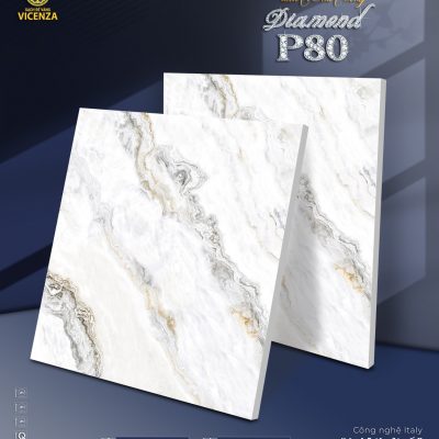 Gạch lát nền VC6025 VC8025
