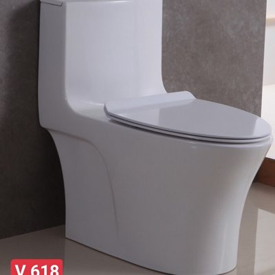 Bồn Cầu toilet bệt vệ sinh V618