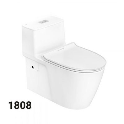 Bồn Cầu Toilet bệt vệ sinh 1080
