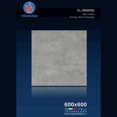 Gạch lát nền CL-BS6602