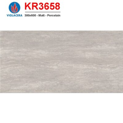 Gạch ốp tường 30x60 KR3658